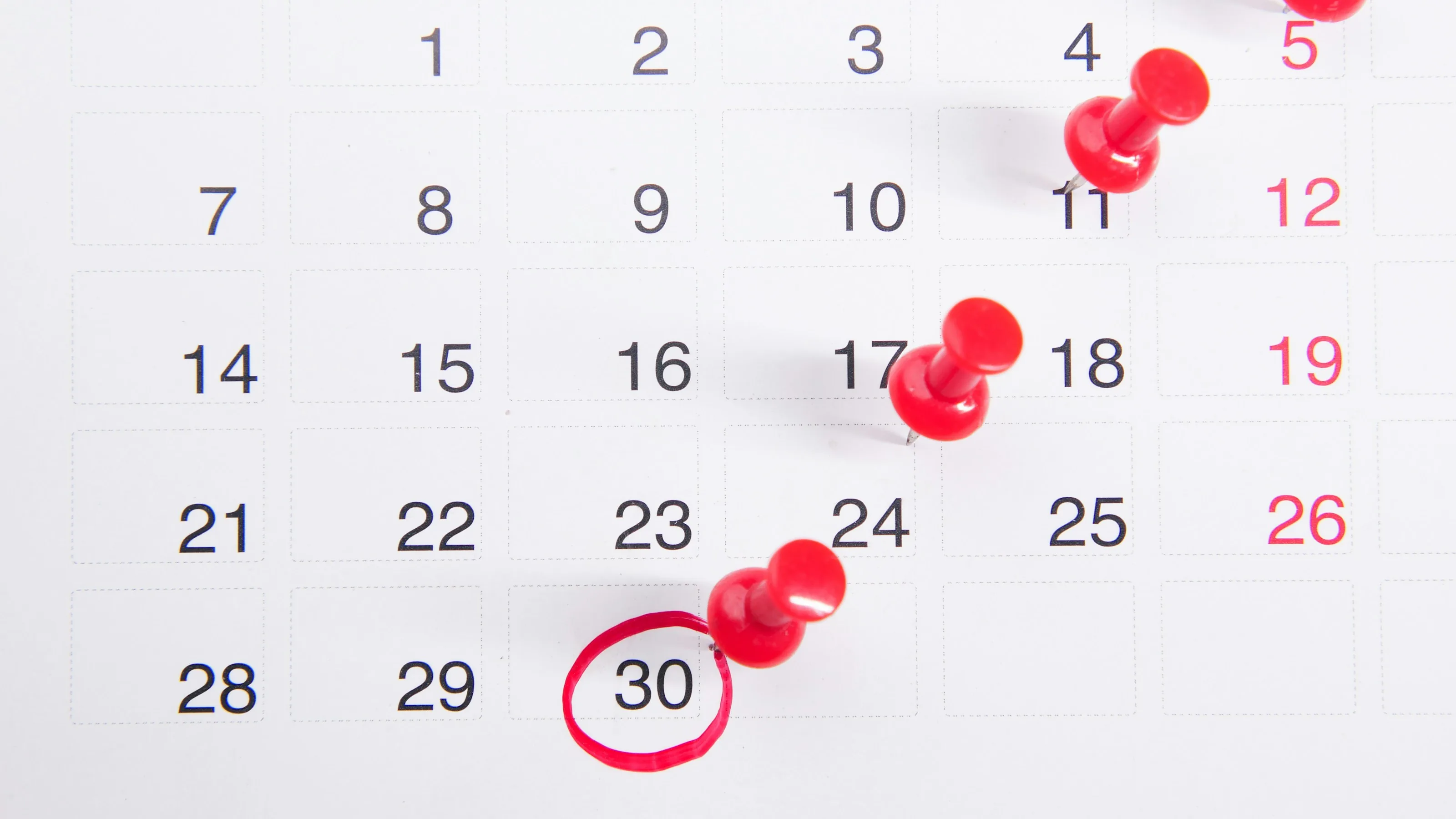 A desk calendar with a date circled