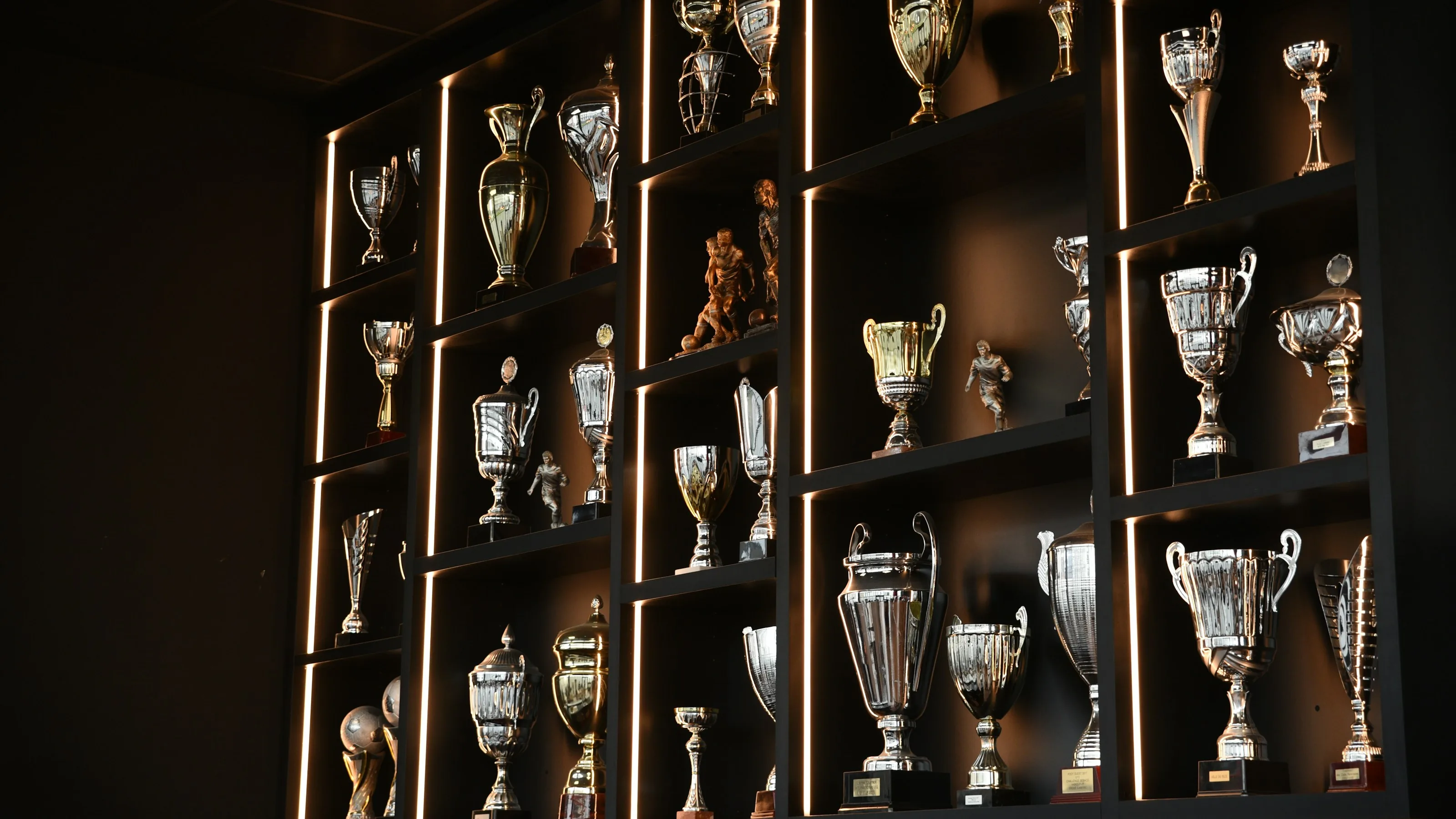 A wall of trophies on lit display shelves